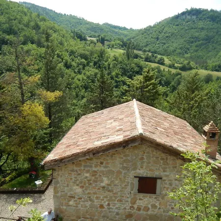 Sirelda * Osoli