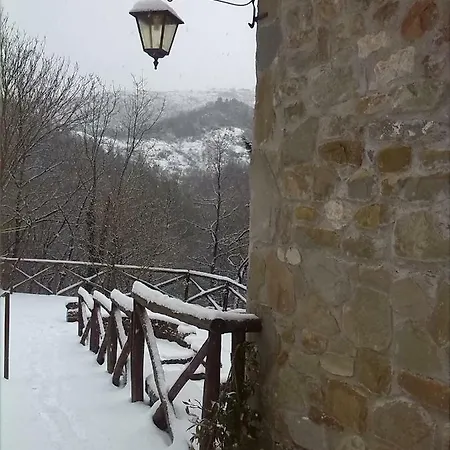 Sirelda Holiday home *